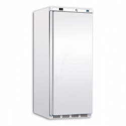 Congelator bauturi Tecfrigo PL 601 NT, capacitate 610 L, temperatura -10/-25 ºC, alb
